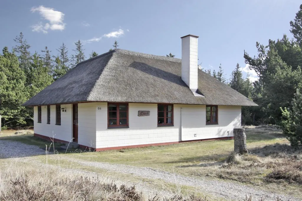 B L A A V A N D -- Sommerhaus/ Ferienhaus - Dänemark