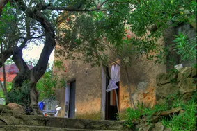 Haus am Insel Rab zu verkaufen