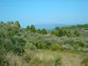 Grundstück mit Meeresblick auf dem Pilion / Griechenland