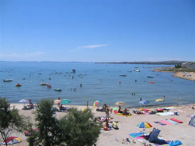 Urlaub mit Hund Insel Vir Kroatien ab 39.-€ für 4 Personen und Hautier