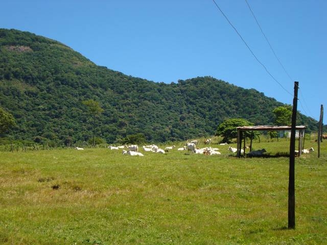 Estancia, Josė Fassardi, Departamento Guaria Paraguay Südamerika