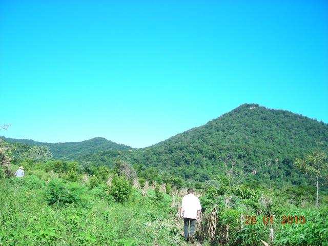 4,5 Hektar Grundstück in Cerro Corá Paraguay Südamerika