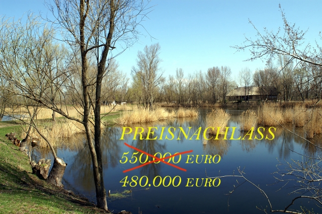 Preisnachlass  Pond with property for sale.