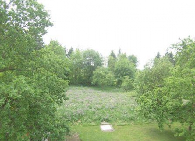 Sehr gepflegte Wohnung in ruhiger Lage in Clausthal-Zellerfeld