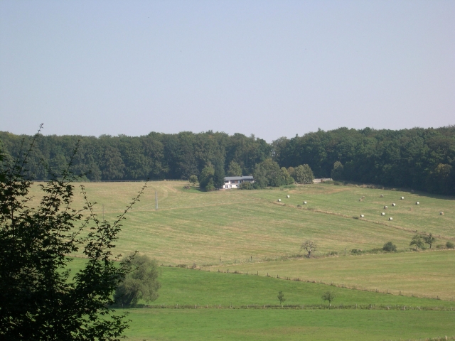 Wohnen mit Pferden auf Reitanlage