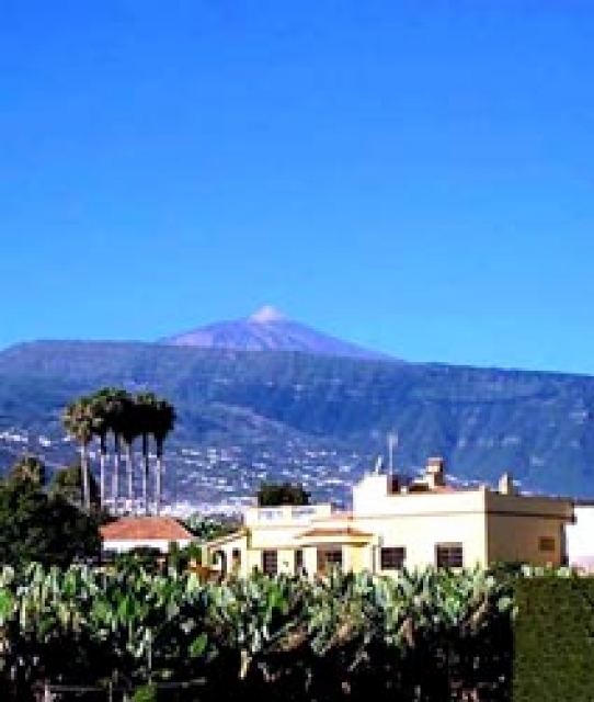 Ferienhaus Finca Fugaz auf Teneriffa