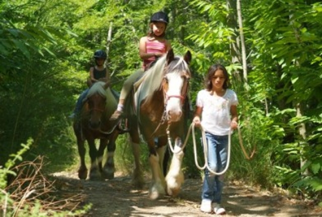 Toskana: Wandern, reiten, biken - kinder- und hundefreundliche Ferienwohnungen m