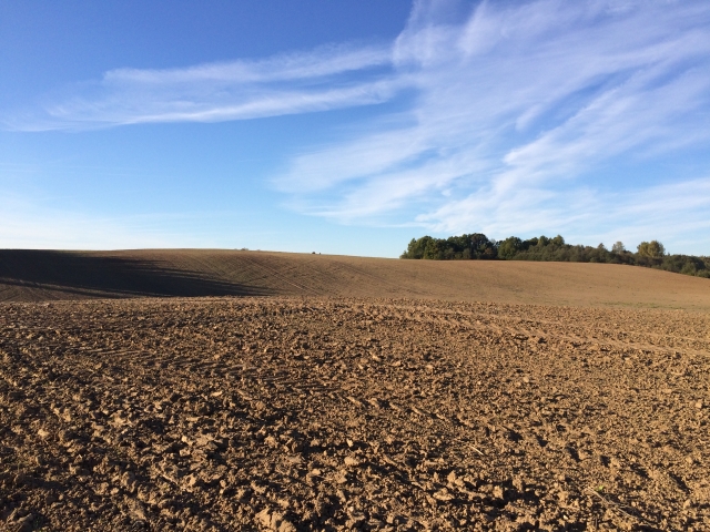 599,31ha Agrarland in Lettland (KURLAND) zu verkaufen